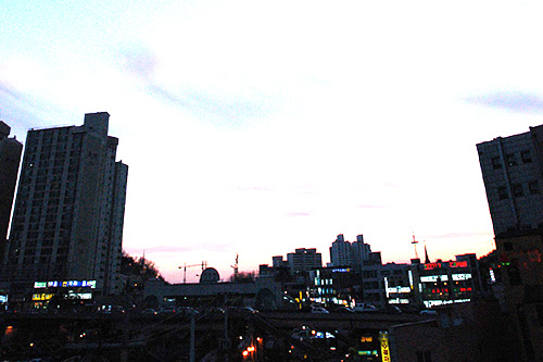 更快的注冊自貿區公司方法